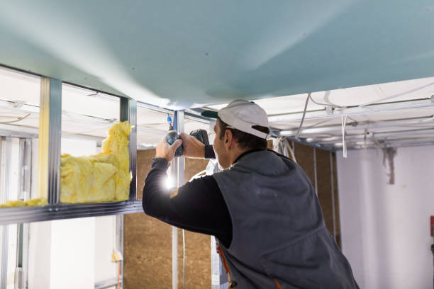Best Insulation for Specific Applications in Coal City, IL