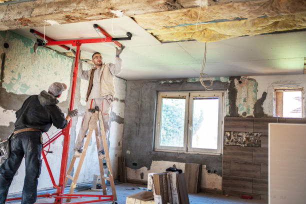Best Residential Insulation in Coal City, IL
