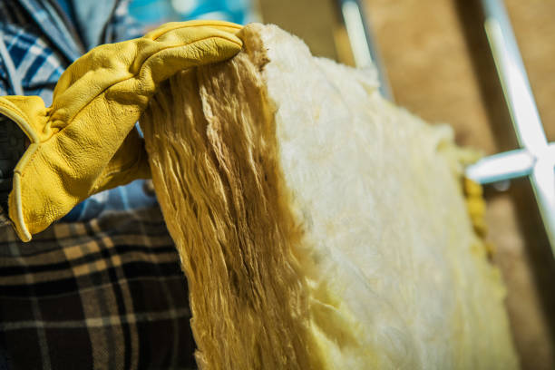 Best Commercial Insulation in Coal City, IL