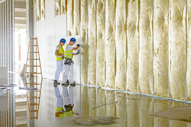 Best Types of Insulation in Coal City, IL
